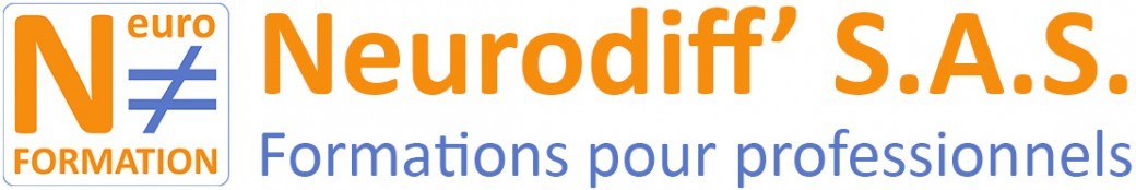 La Résistance Non-Violente (RNV)