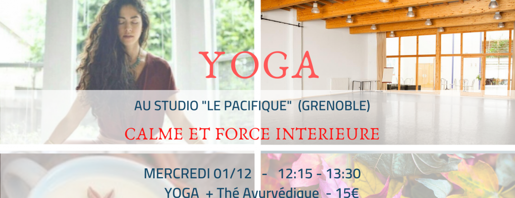 New ! YOGA VINYASA, "Calme et force intérieure" by Gecko yoga