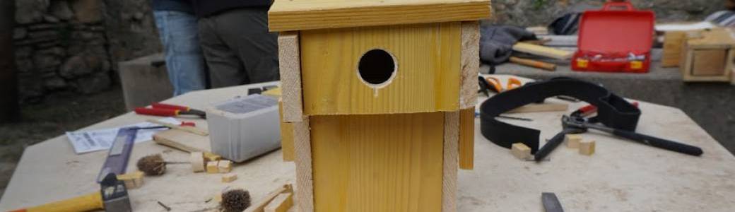 Des nichoirs pour les oiseaux