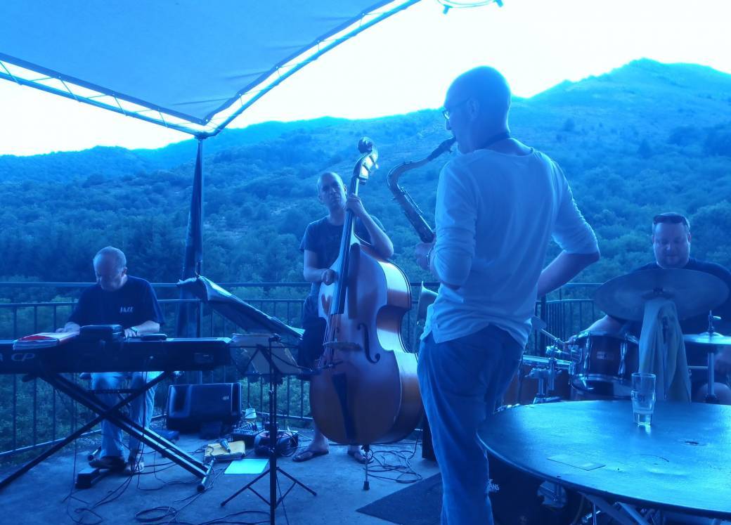 No Vibrato (Belgique)