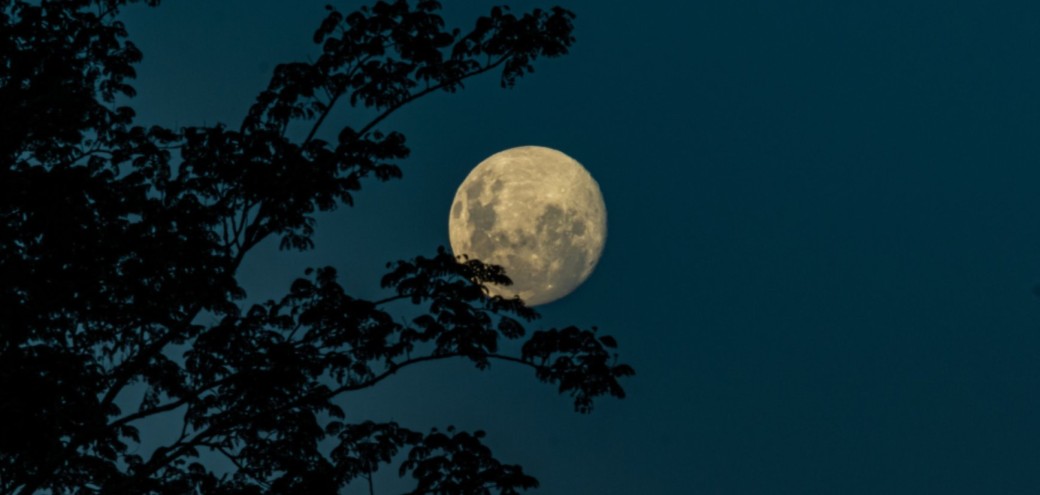Nocturne à la pleine Lune