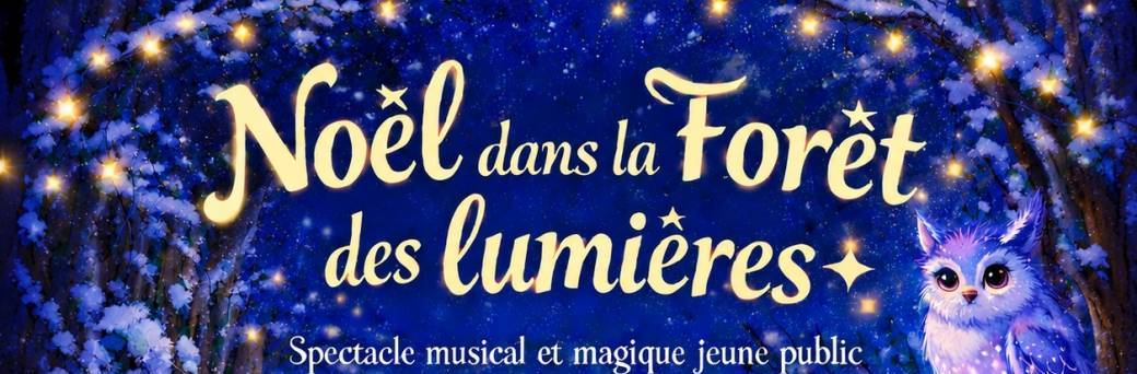 Noël dans la forêt des lumières