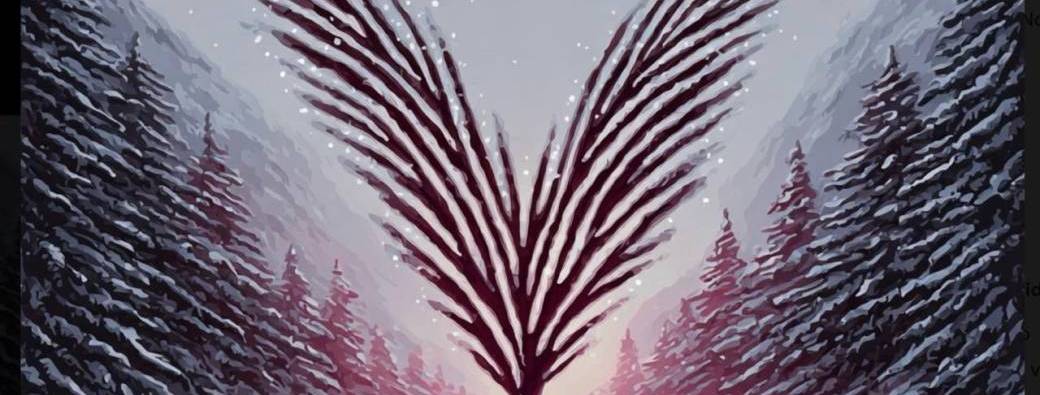 Noël Vallée Rose 2025