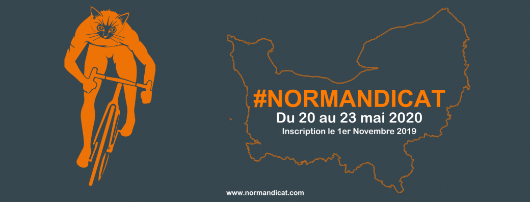 Normandicat