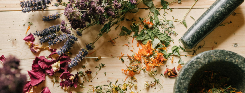 NOUVEAU - Atelier : Pfizherbes 