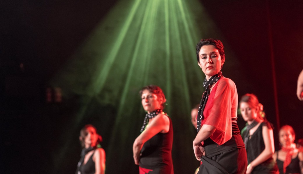 Nouveaux Ateliers Danse flamenco  débutants 2019