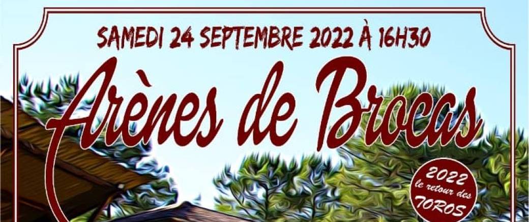 Novillada Brocas 2022