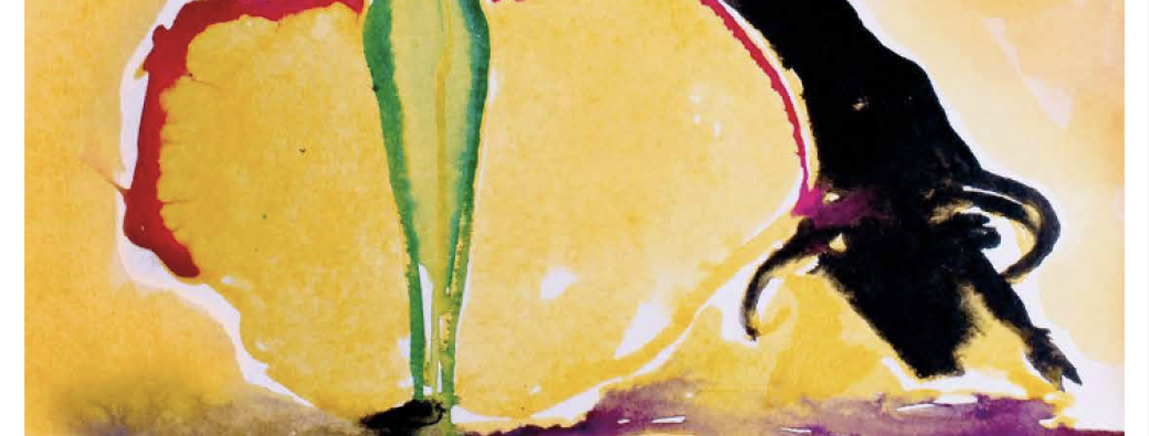 Novillada de la Romería de Mauguio