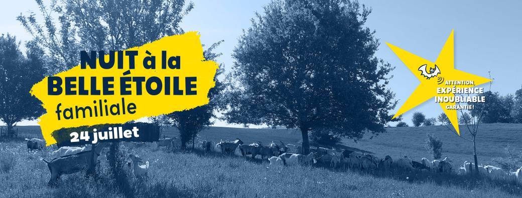 Nuit à la belle étoile familiale