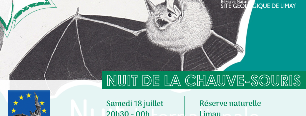Nuit de la chauve-souris