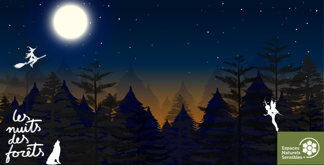 Nuit des Forêts : Balade contée au crépuscule
