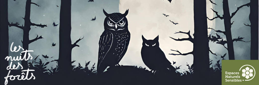 Nuit des Forêts : les volants de la nuit