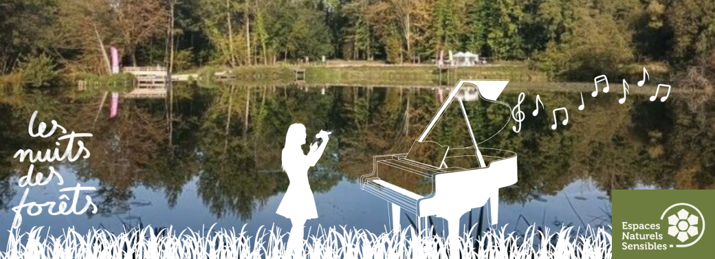 REPORTE Nuit des Forêts : Spectacle la sagesse de l'herbe REPORTE
