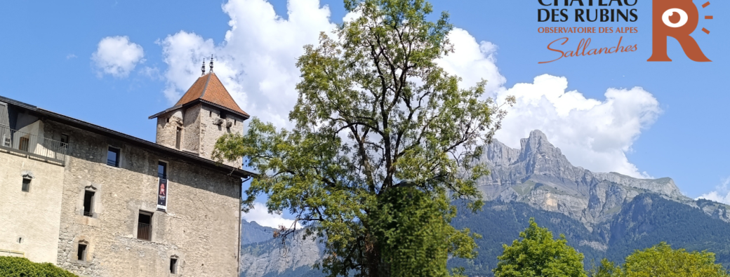 Nuit des Musées : Rêve et Veillée