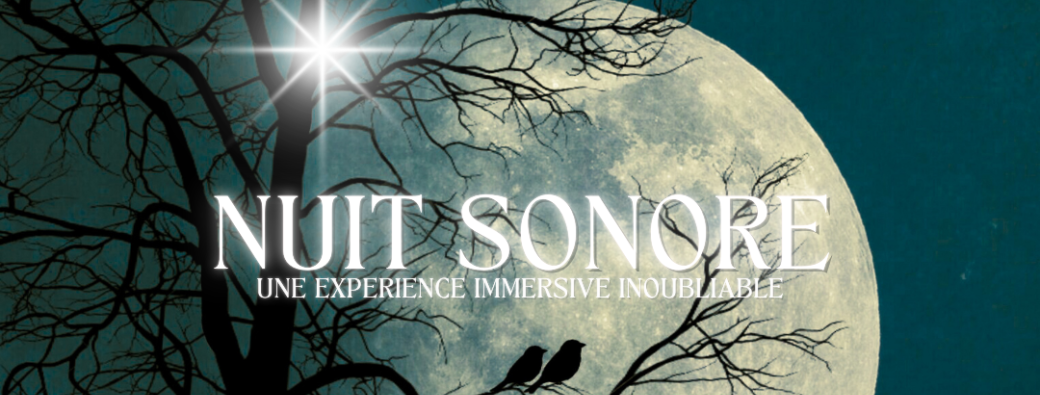 Nuit Sonore