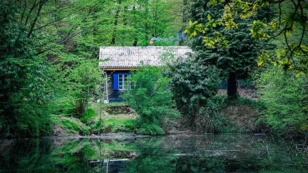 Nuits des Forêts - Cabane 55