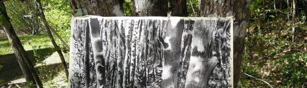 Atelier "Dessiner parmi les arbres", avec Yann Bagot, artiste-plasticien