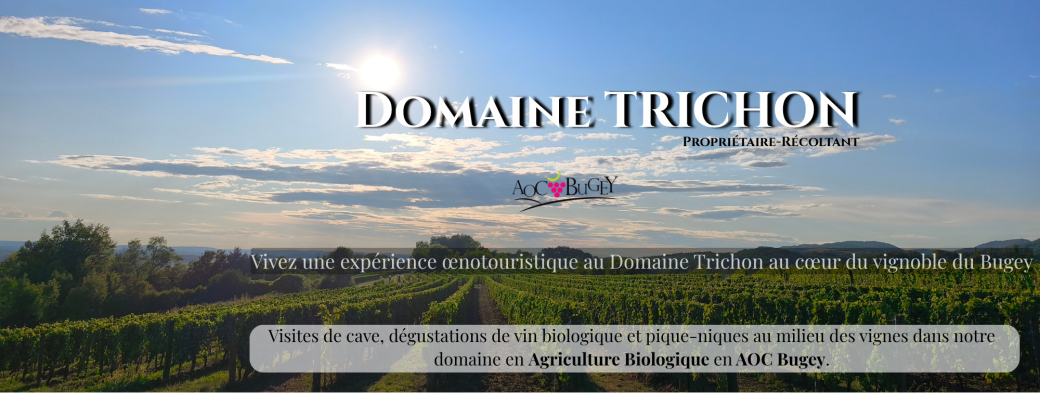 Immersion et découverte du Domaine TRICHON