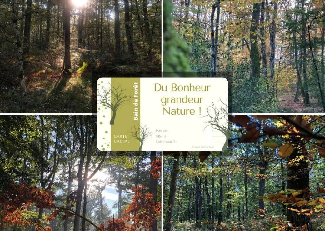 Carte cadeau : Bain de forêt  "Du bonheur grandeur nature"