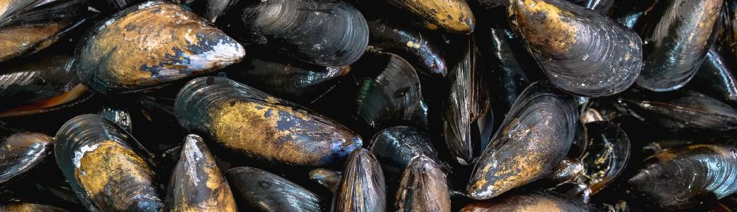 Journée Moules Frites 2023