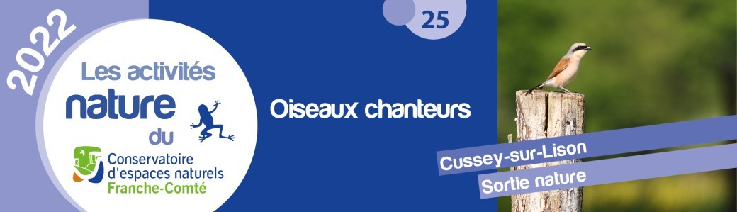 Oiseaux chanteurs