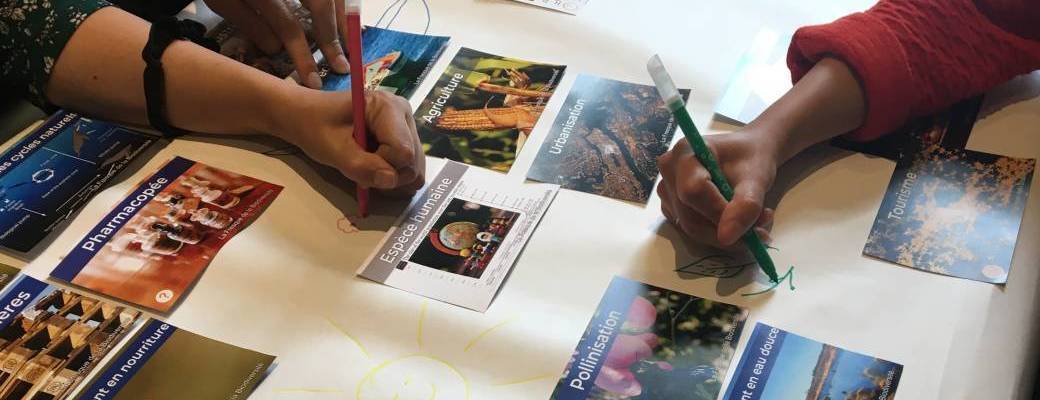 ONLINE Biodiversity Collage workshop (RU)