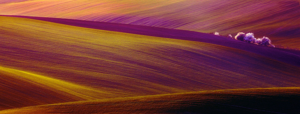 OPEN FIELD. SEUILS, CONTRE-TEMPS, GALERIES