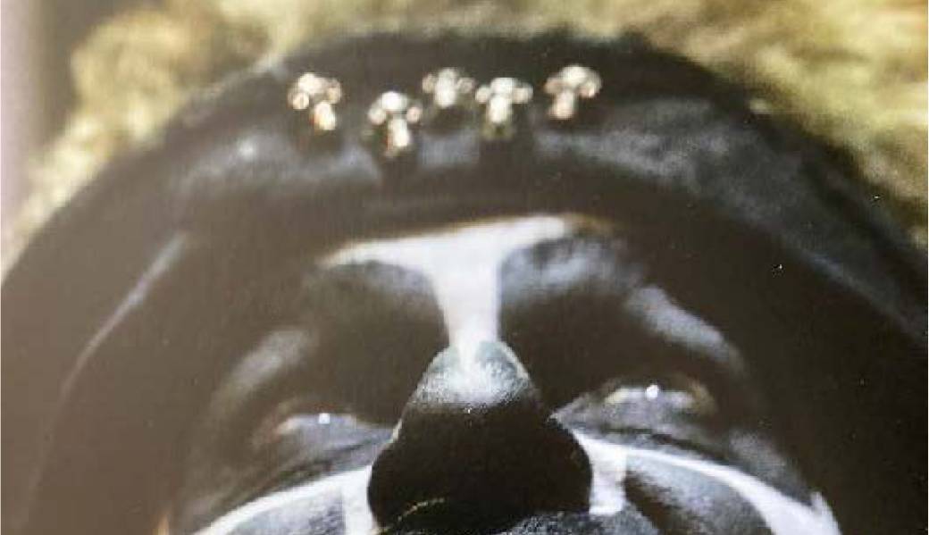 OPENVIA Nathalie Pernette, Wakan – Un Souffle