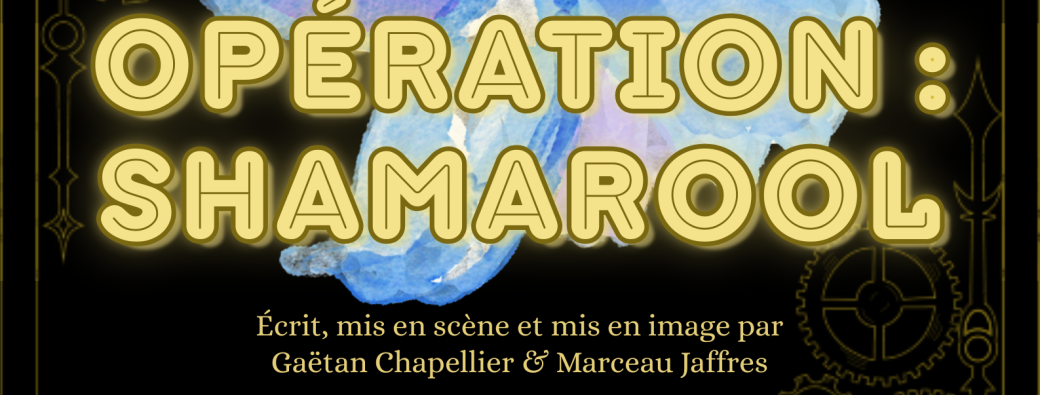 Opération Shamarool