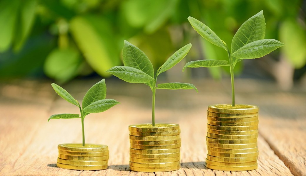 Optimisation Fiscale et Financière : Les clés de la performance