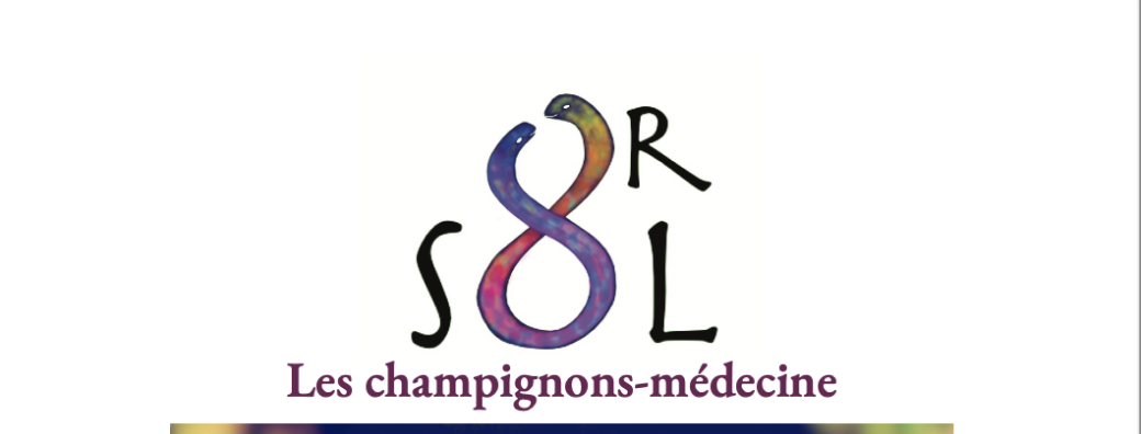 Or Sol, les champignons médecine