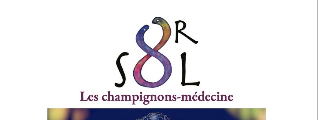Or Sol, les champignons médecine