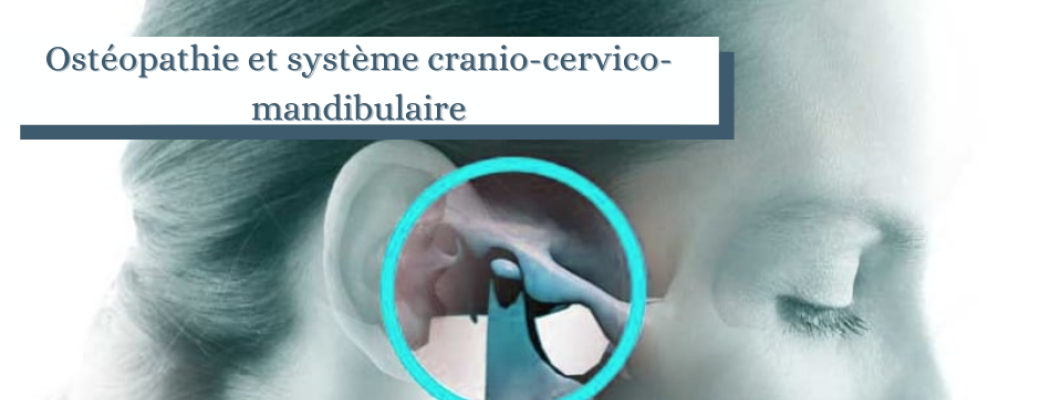 Ostéopathie et système cranio-cervico-mandibulaire