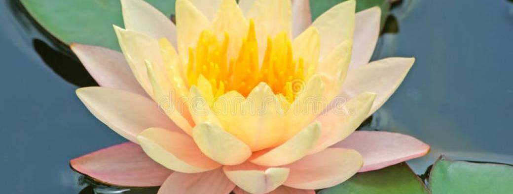 Où j'en suis dans mon désir d'enfant?