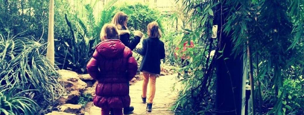L'oublié de la Tête d'or (7-12 ans)