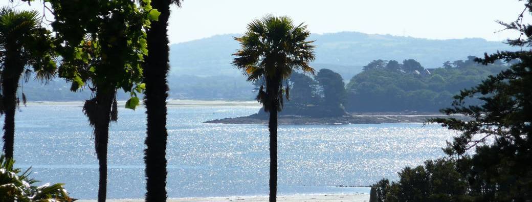 Ouverture à la Contemplation- juillet 26 Landevennec