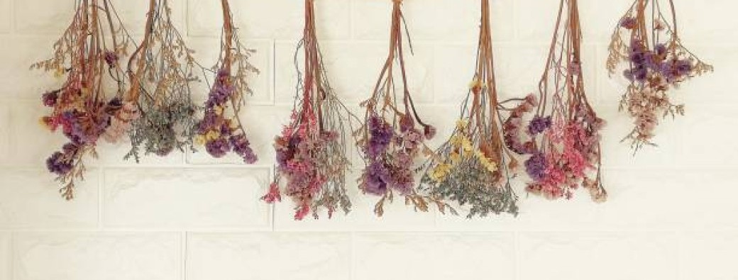 Ouverture Amezza - Création d'accessoires fleuris - Jeudi Ascension