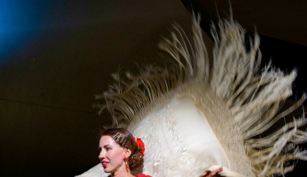 Ouverture de la saison culturelle - Concert de Flamenco, Guitare et danse 