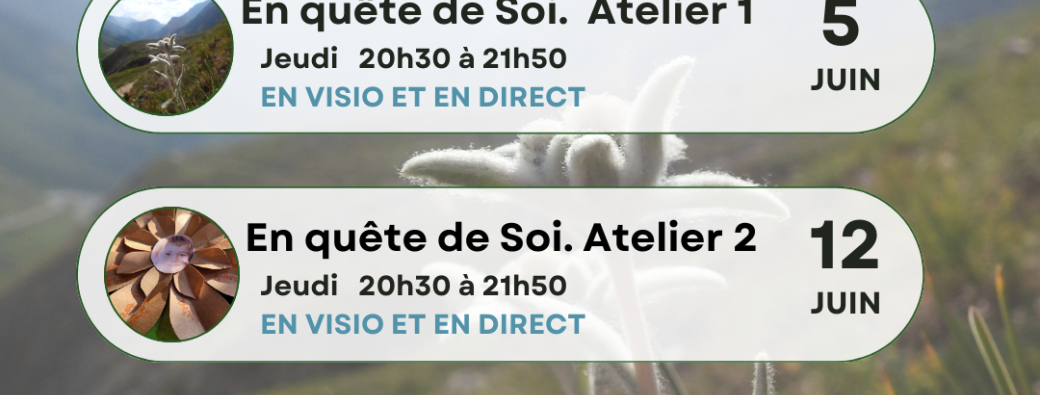 PACK 3 Ateliers en ligne "EN QUETE DE SOI" Jeudis 5, 12 et 19 JUIN 20h30