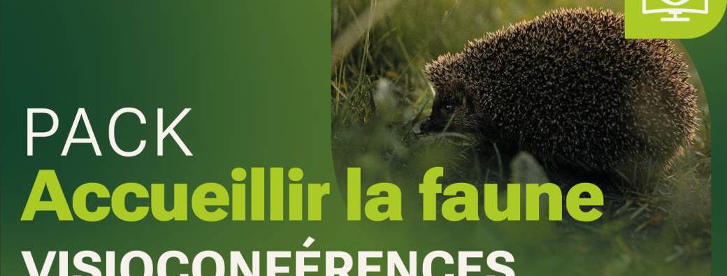 Pack « Accueil de la faune sauvage » - 3 visioconférences