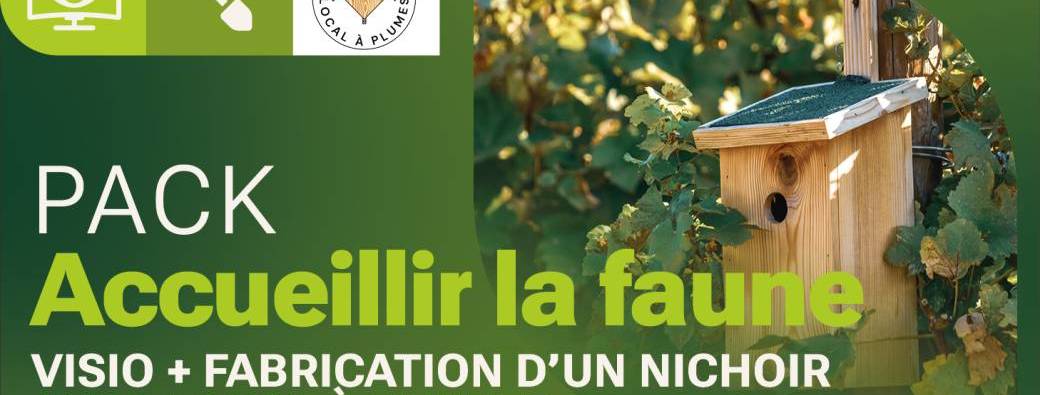 Pack « Accueil de la faune sauvage » - 3 visioconférences et atelier fabrication nichoir à Neupré