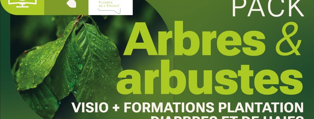 Pack « Arbres et arbustes » - 3 visioconférences et 1 formation avec le PN Plaines de l’Escaut
