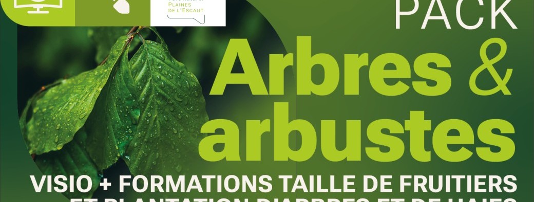 Pack « Arbres et arbustes » - 4 visioconférences et 2 formations avec le PN Plaines de l’Escaut