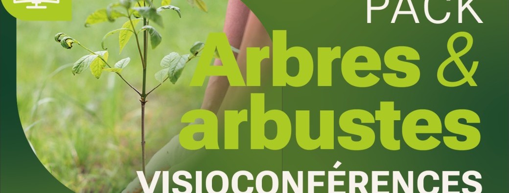 Pack « Arbres et arbustes - plantation » - 3 visioconférences