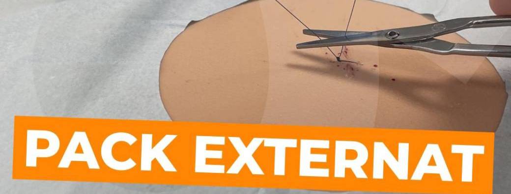 PACK EXTERNAT D1 - 4e atelier