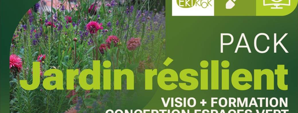 Pack « jardin résilient » - 3 visioconférences et formation d'aménagements de jardin Gembloux