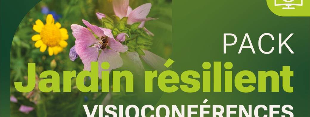 Pack « jardin résilient » - 3 visioconférences