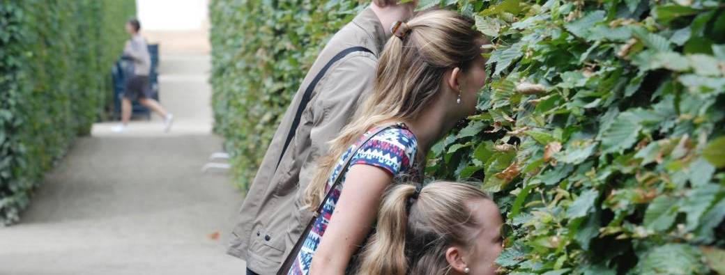 Pahin Pétille ! #3  : Balade nature dans le quartier Pahin