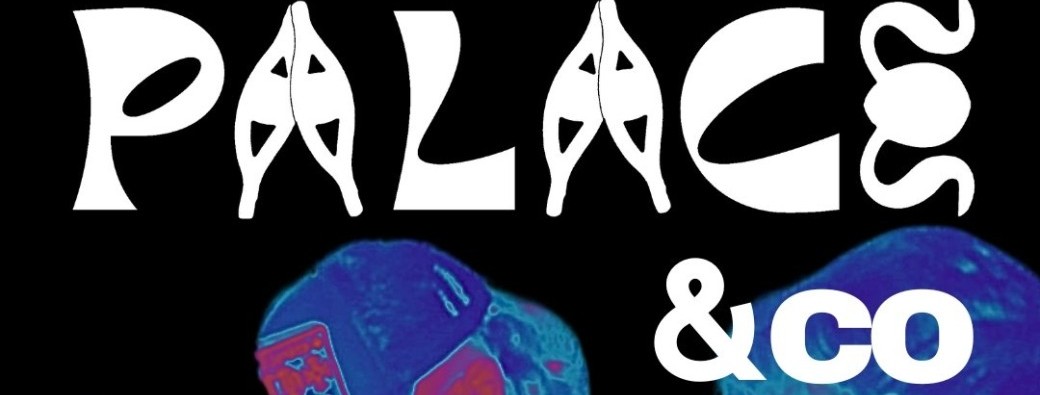 PALACE & CO