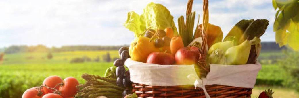 Paniers de Fruits et Légumes (3) ISS ACLE AAEPL AEOL ELP ADEMKEL AGEAL